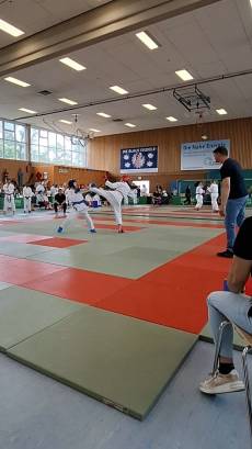 Kumite - Freikampf 